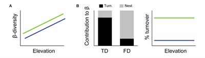 High Temporal Beta Diversity in an Ant Metacommunity, With Increasing Temporal Functional Replacement Along the Elevational Gradient